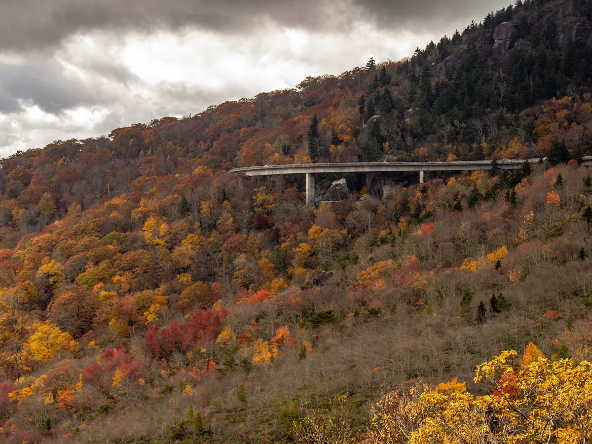 Curving concrete viaduct bridging a forested mountainside