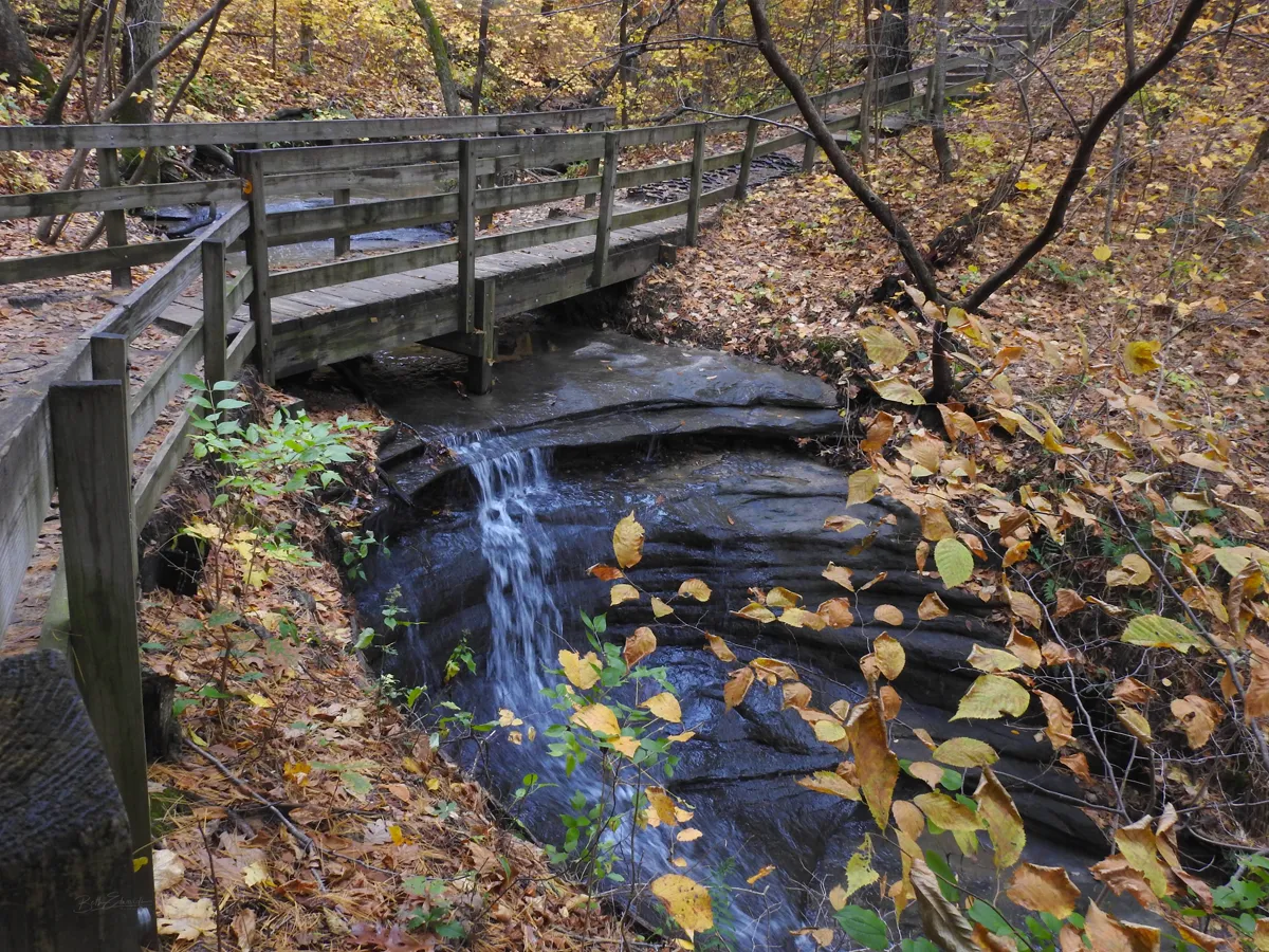 Sandstone canyon with a waterfall and green forest walls