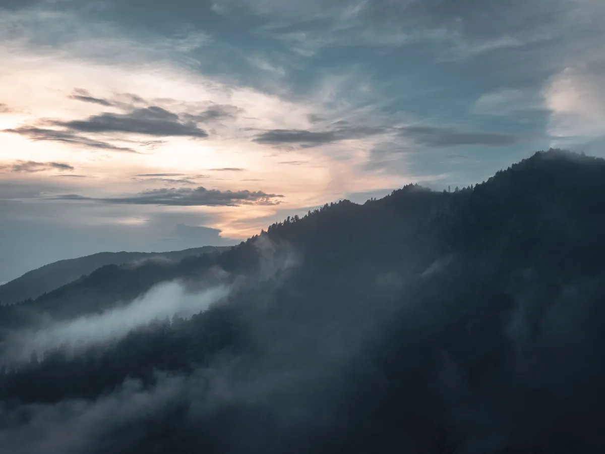Sunrise light spilling over a fog-filled valley in the Great Smoky Mountains, seen from a roadside overlook