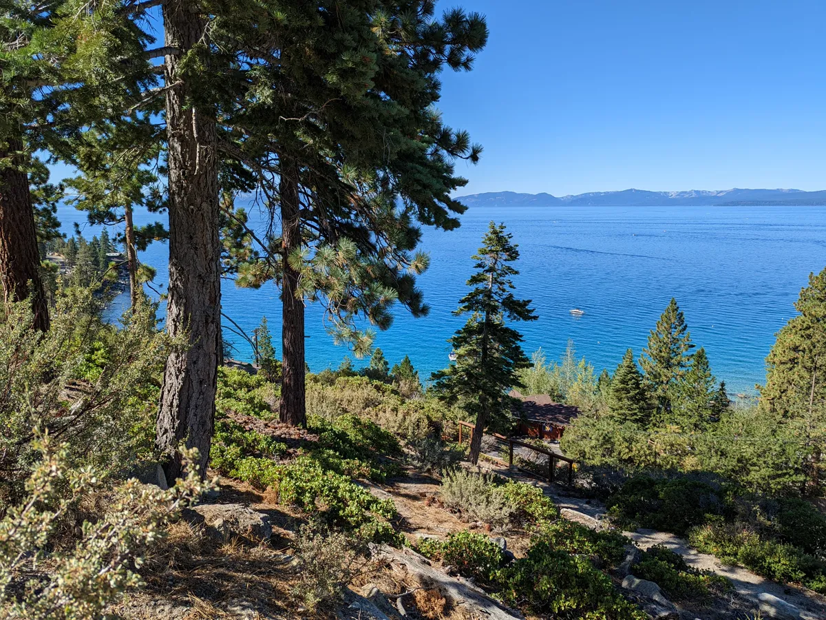 Quiet lakeside road with pine trees and a view down to clear water